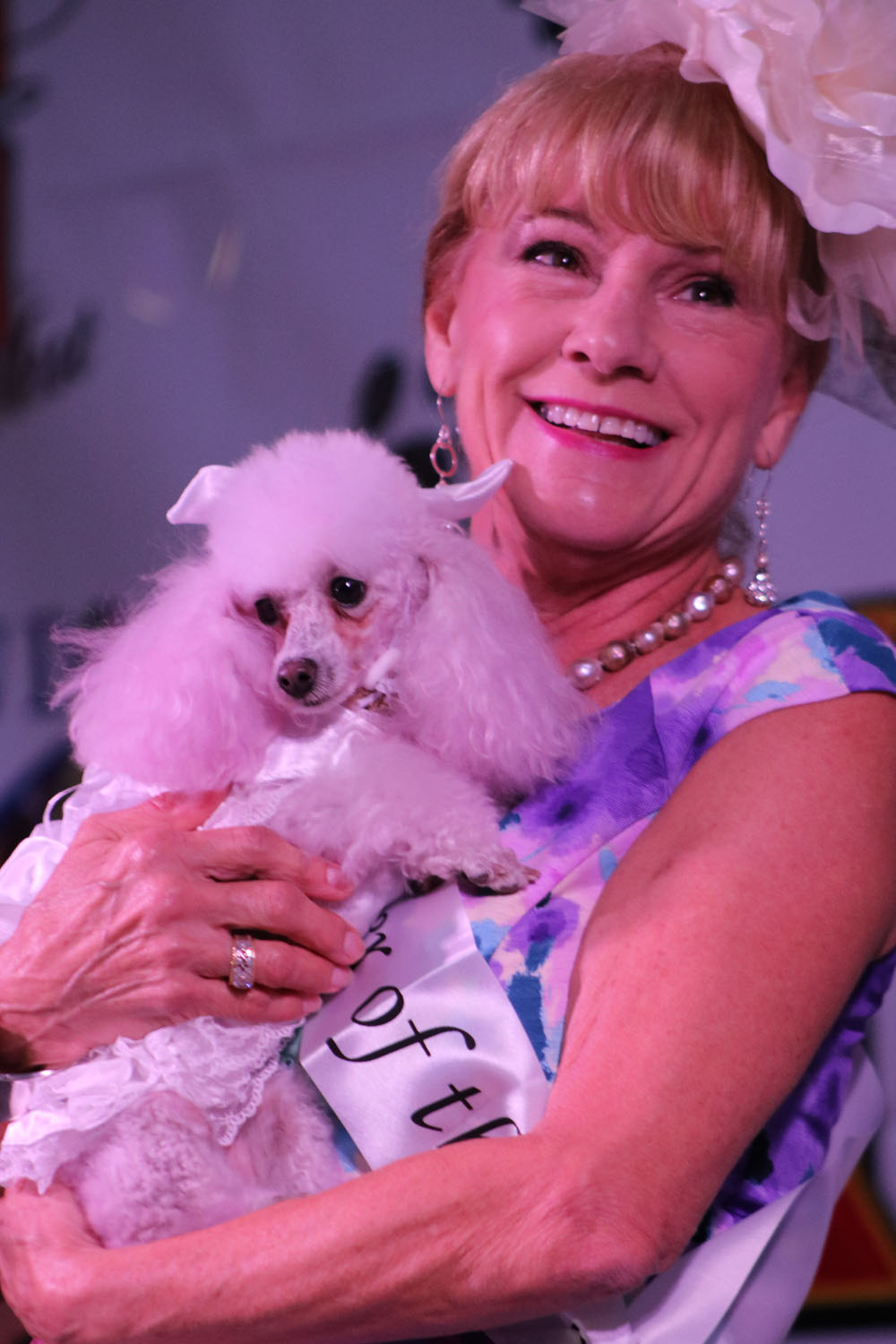 Pet Masquerade 2017 photo - Duval Street, Key West